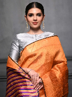 Pure Tussar Dupion Silk Saree – Elegant Royal Rich Weave